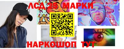 шишки Кандалакша