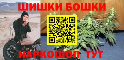 шишки Кандалакша