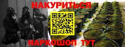 мдма Кингисепп